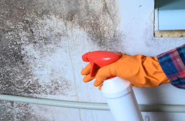 Mold Remediation Denton, Texas